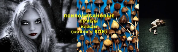 а пвп мука Алзамай
