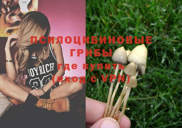 хмурый Алексин