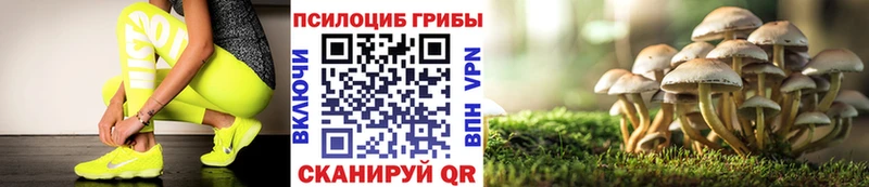 МЕГА как войти  маркетплейс телеграм  Галлюциногенные грибы Psilocybe  где продают наркотики  Ковылкино 